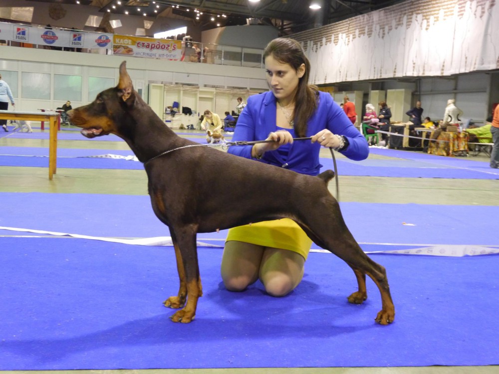 a993