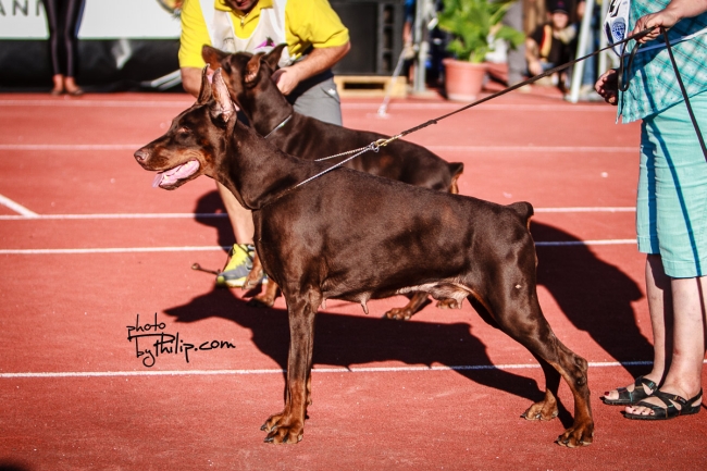 BDIMG_1473