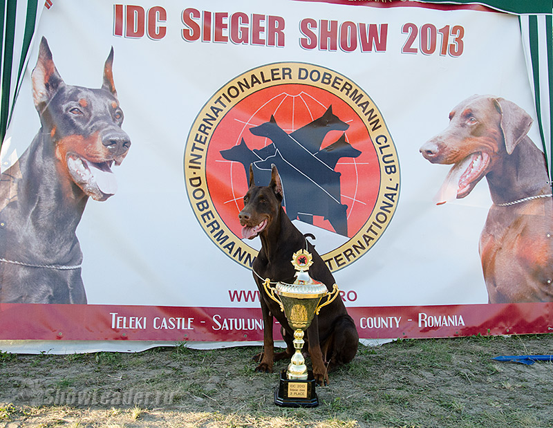 BDISC_9622