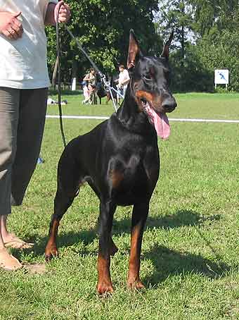beretta_nats2004_3