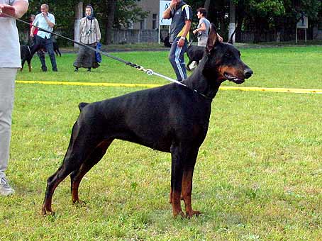 beretta_nats2005