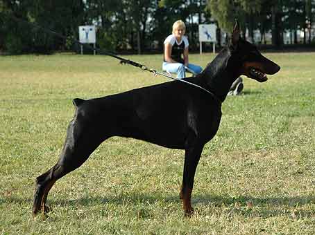 beretta_nats2005_4