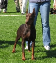 BilderOrebroEBBI