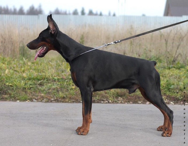 Ce1m6