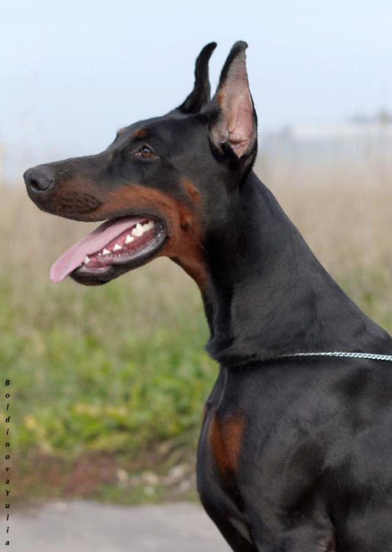 Ce1m8