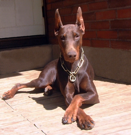 ebijune2004