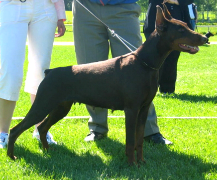 EbiVSP2005_saila