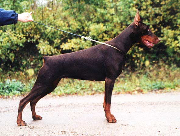 ebony10-3