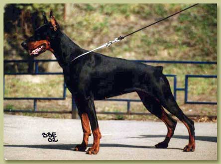 esmir