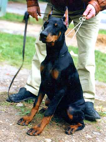 esmir4m1