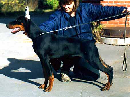 esmir4m2