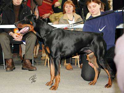 garry-eur2005