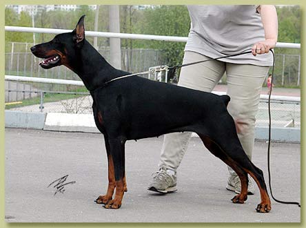 gretta