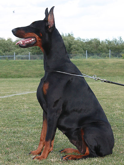 gretta1