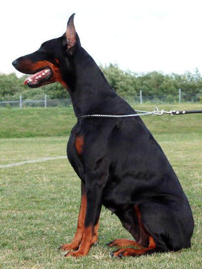 gretta2