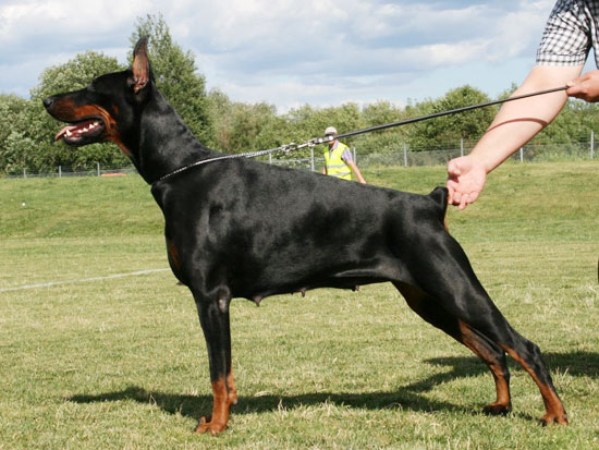 gretta4