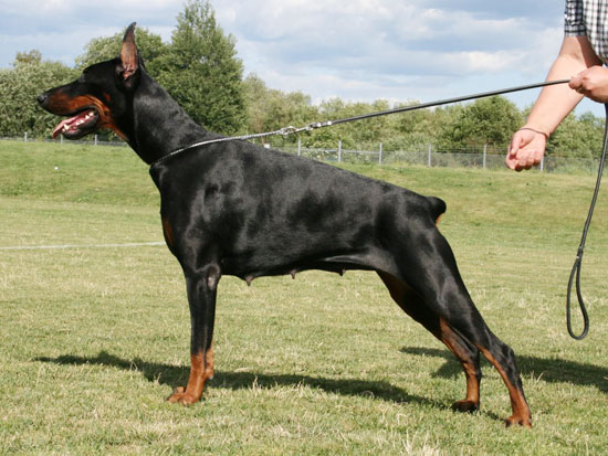 gretta5