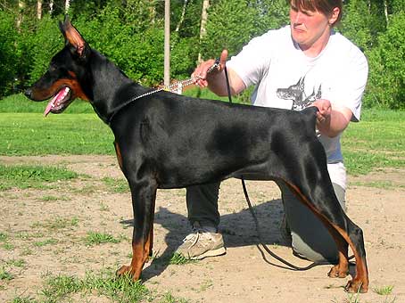 gretta6m
