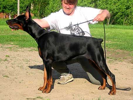 gretta6m1