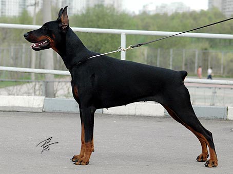 gretta_rd2