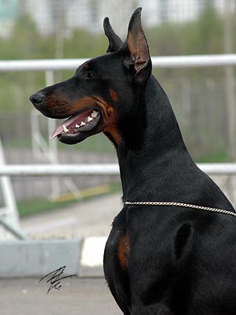 gretta_rd3