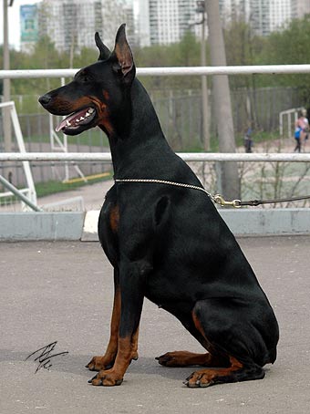 gretta_rd4