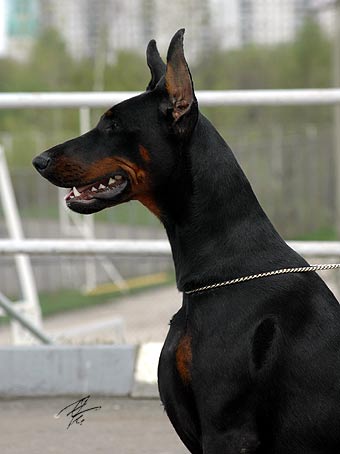 gretta_rd5