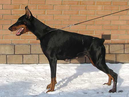 pilar9
