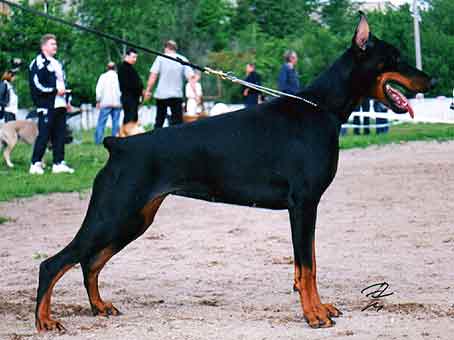 pilar_obninsk