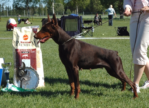 SWHebonyFinDobWinner2005a